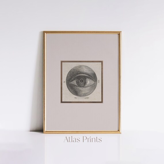 Odd Vintage Engraved Eye Diagram Surreal Antique Anatomy Poster