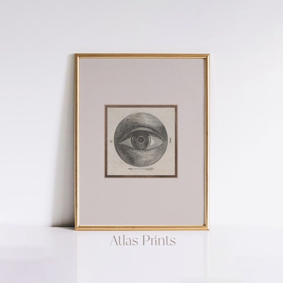 Vintage Eye Sketch Eye Anatomy Print Dark Academia Bw Painting Moody Gothic Wall Art Cottagecore Wall Dcor