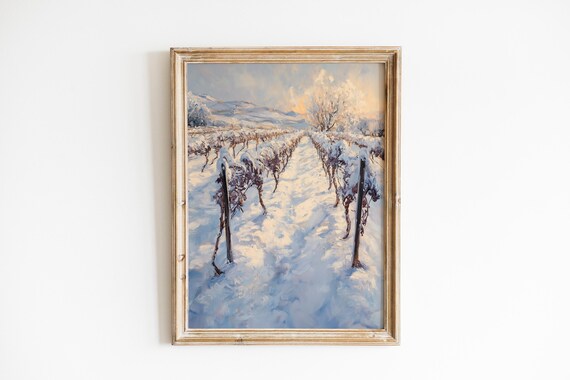 Snow Covered Vineyard Rows Under a Pale Winter Sun Landscape Poster
