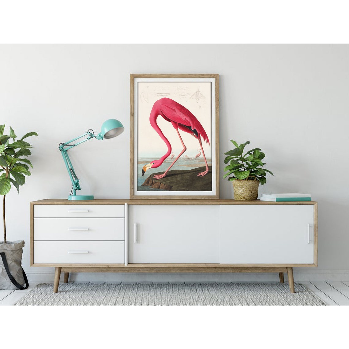 John James Audubon Pink Flamingo Vintage Bird Illustration Poster - Image 3