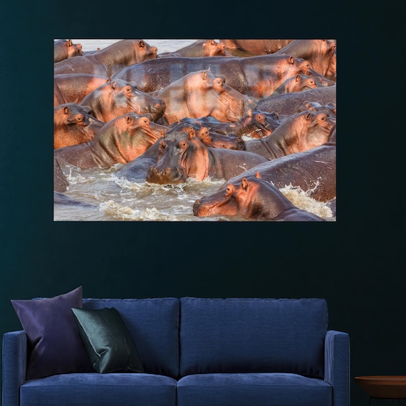 Hippo Pod Crowded River Wildlife Photo African Safari Poster