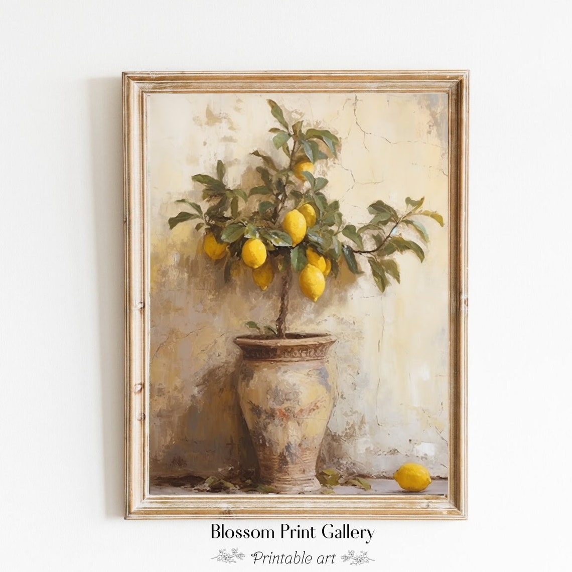 Potted Lemon Tree Terracotta Pot Sunlit Still Life Painting Poster