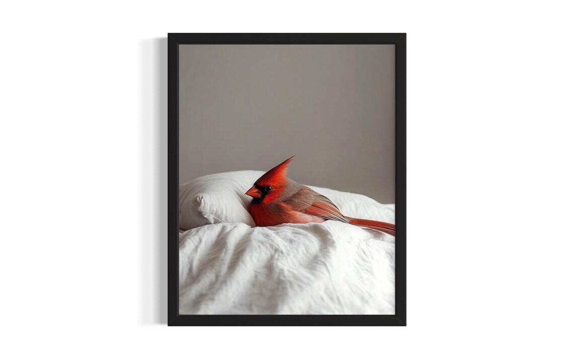 Northern Cardinal Resting on a Pillow in Soft Gray Tones Bird Poster