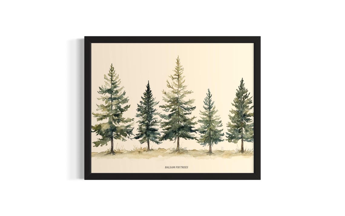 Balsam Fir Trees Watercolor Botanical Soft Green Forest Poster