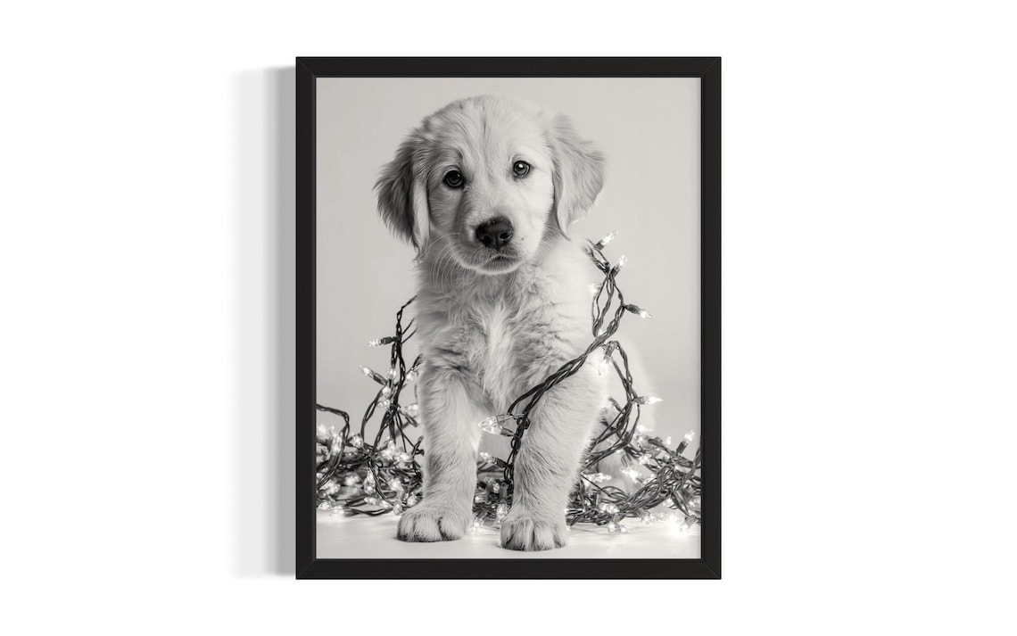 Fluffy Golden Retriever Puppy Tangled In Christmas Lights Poster