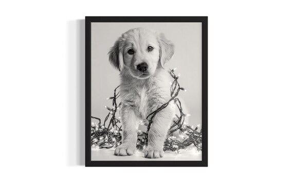 Fluffy Golden Retriever Puppy Tangled In Christmas Lights Poster