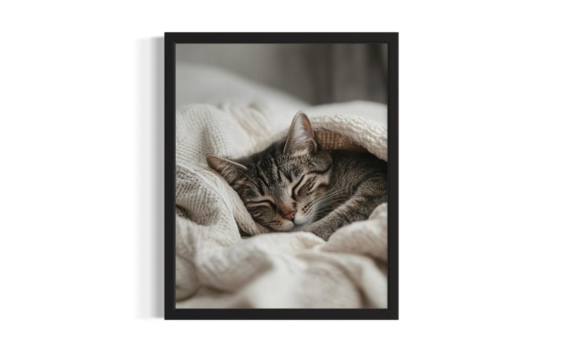 Tabby Cat Sleeping Under a Cream Knit Blanket in a Cozy Poster