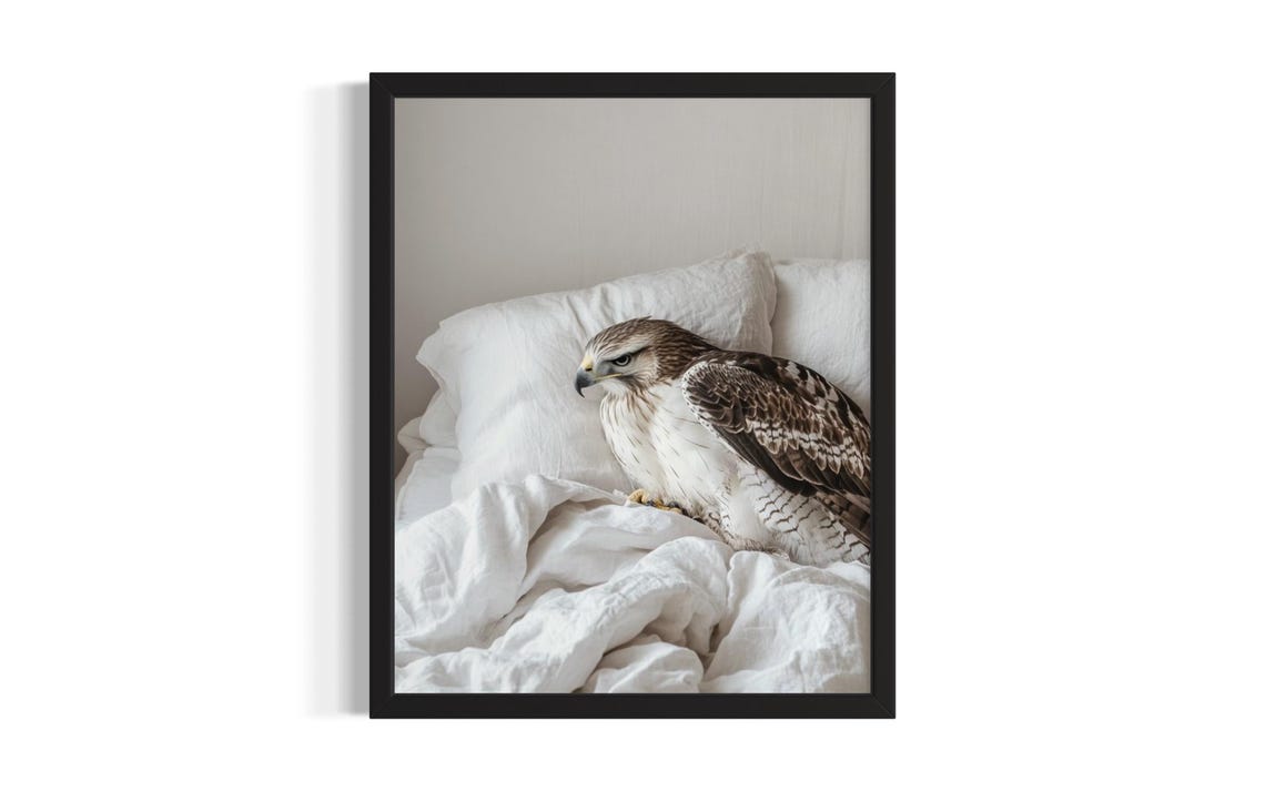 Hawk Resting on Crisp White Bedding in a Calm Neutral Bedroom Poster