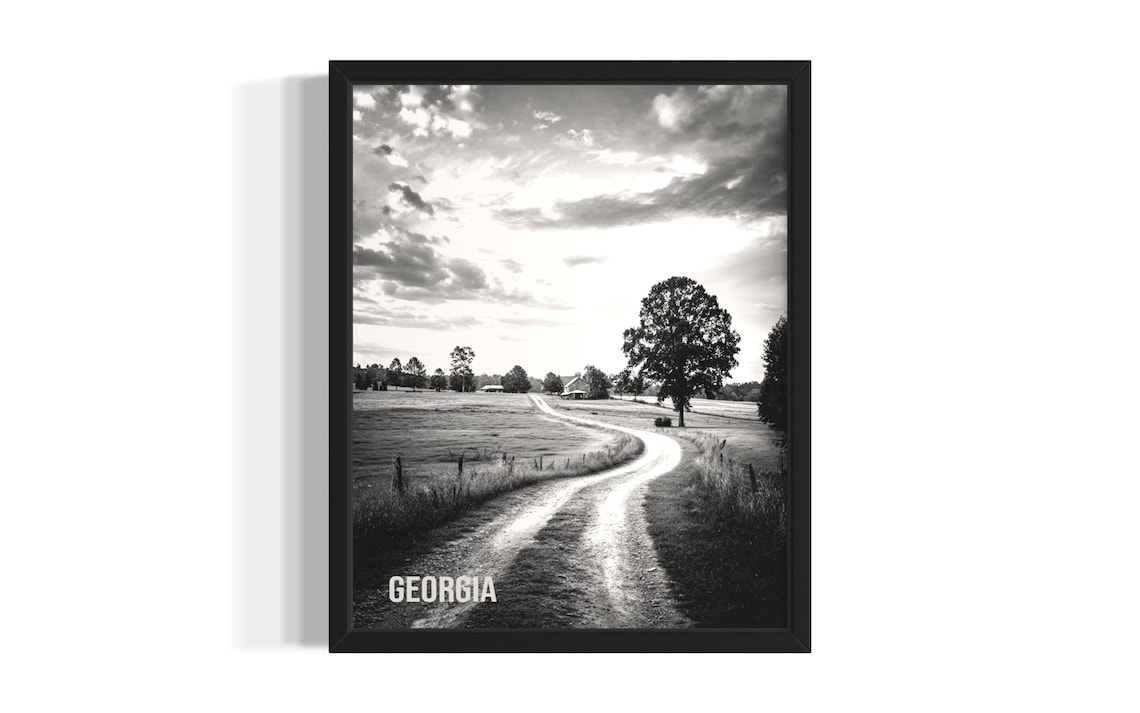 Georgia Country Dirt Road Lone Tree Black and White Photo Poster