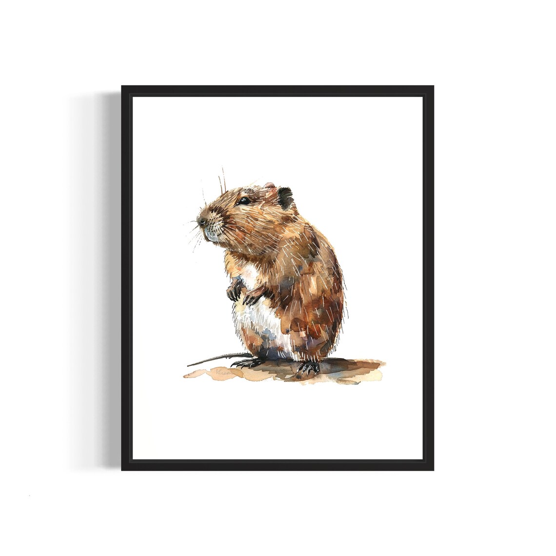 Detailed Brown Muskrat Watercolor Wetland Rodent Portrait Poster