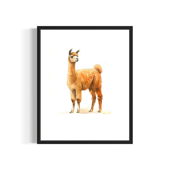 Gentle Alpaca Standing in Warm Tones Watercolor Animal Painting Poster