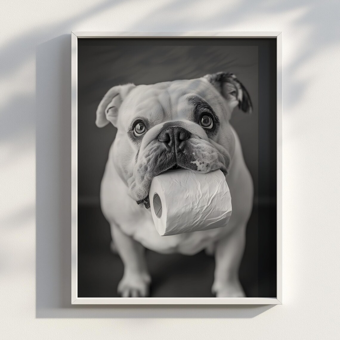 English Bulldog Holding Toilet Paper Funny Black White Dog Poster
