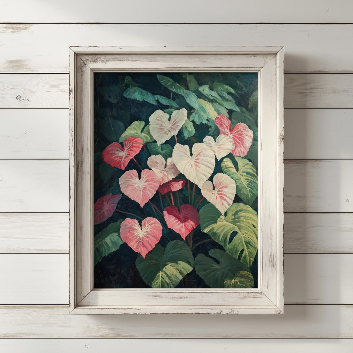 Caladium Leaves Pink White Red Tropical Foliage Botanical Print