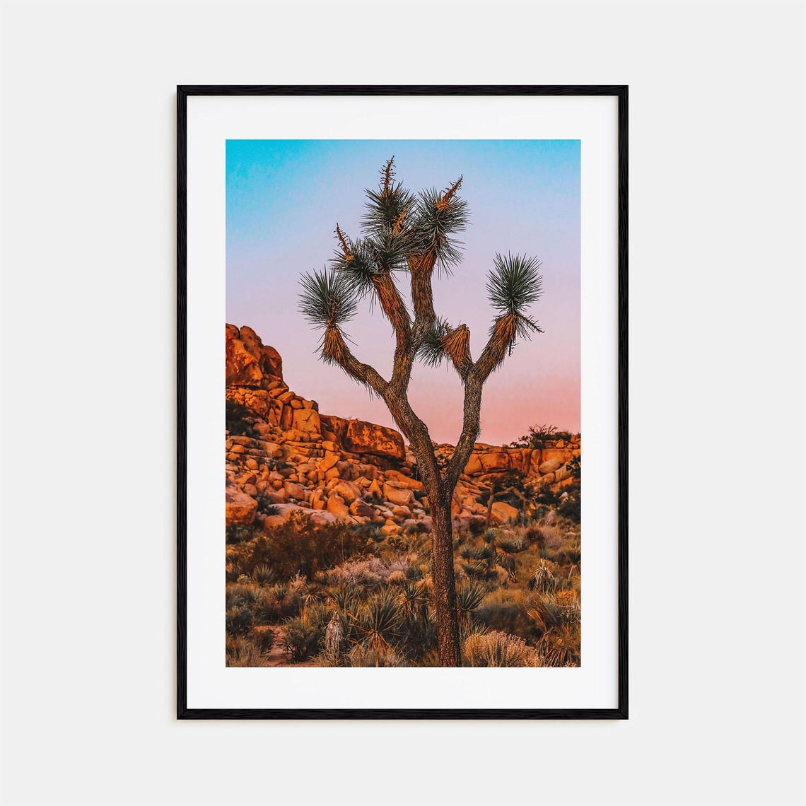 Joshua Tree National Park Desert Sunset Silhouette Photo Poster