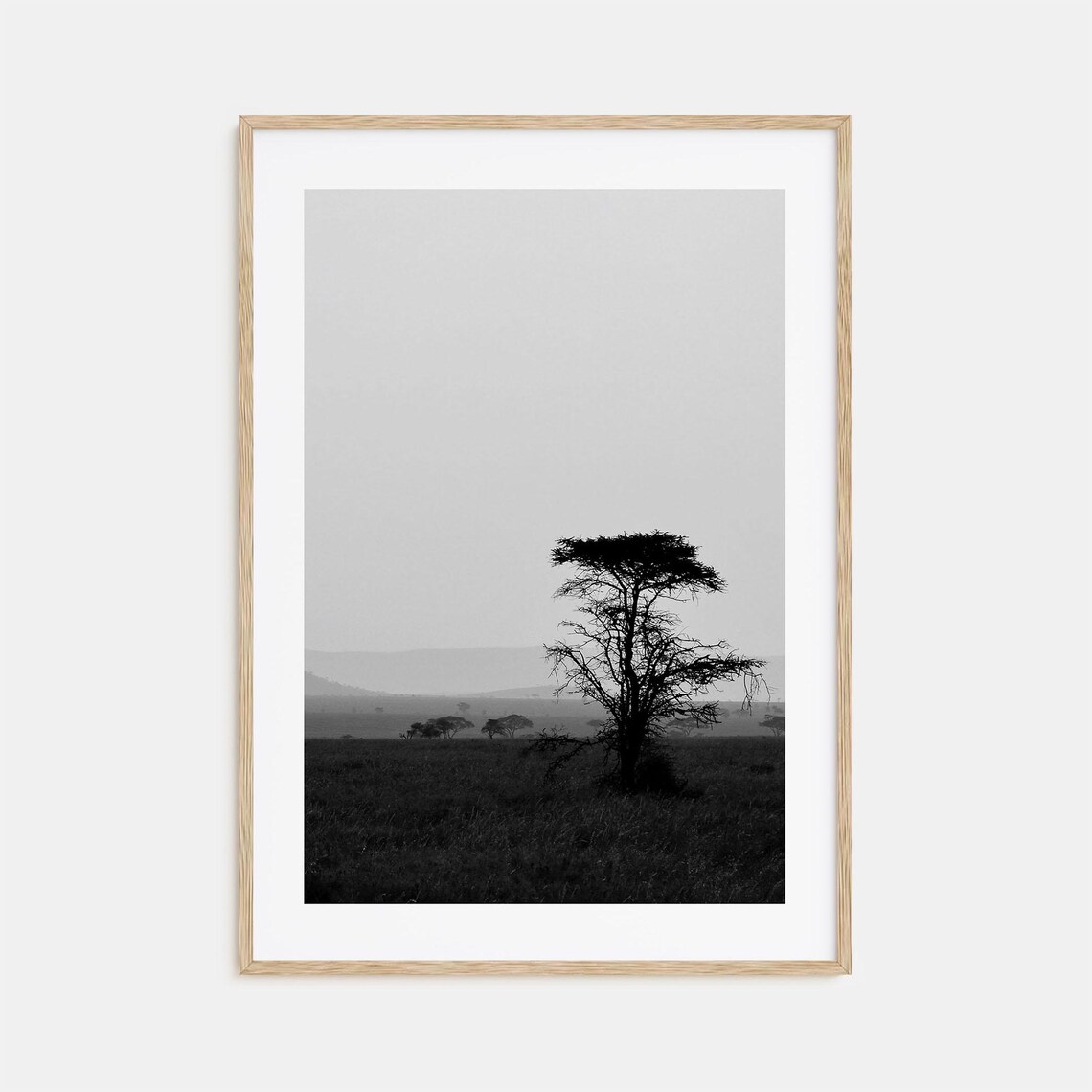 Africa Savanna Lone Acacia Tree Misty Plains Black and White Poster