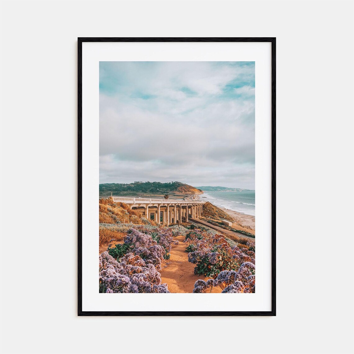 Torrey Pines Travel Poster, City Map Decor