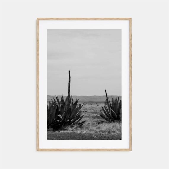 Texas Black And White Travel Poster, Wall Photography