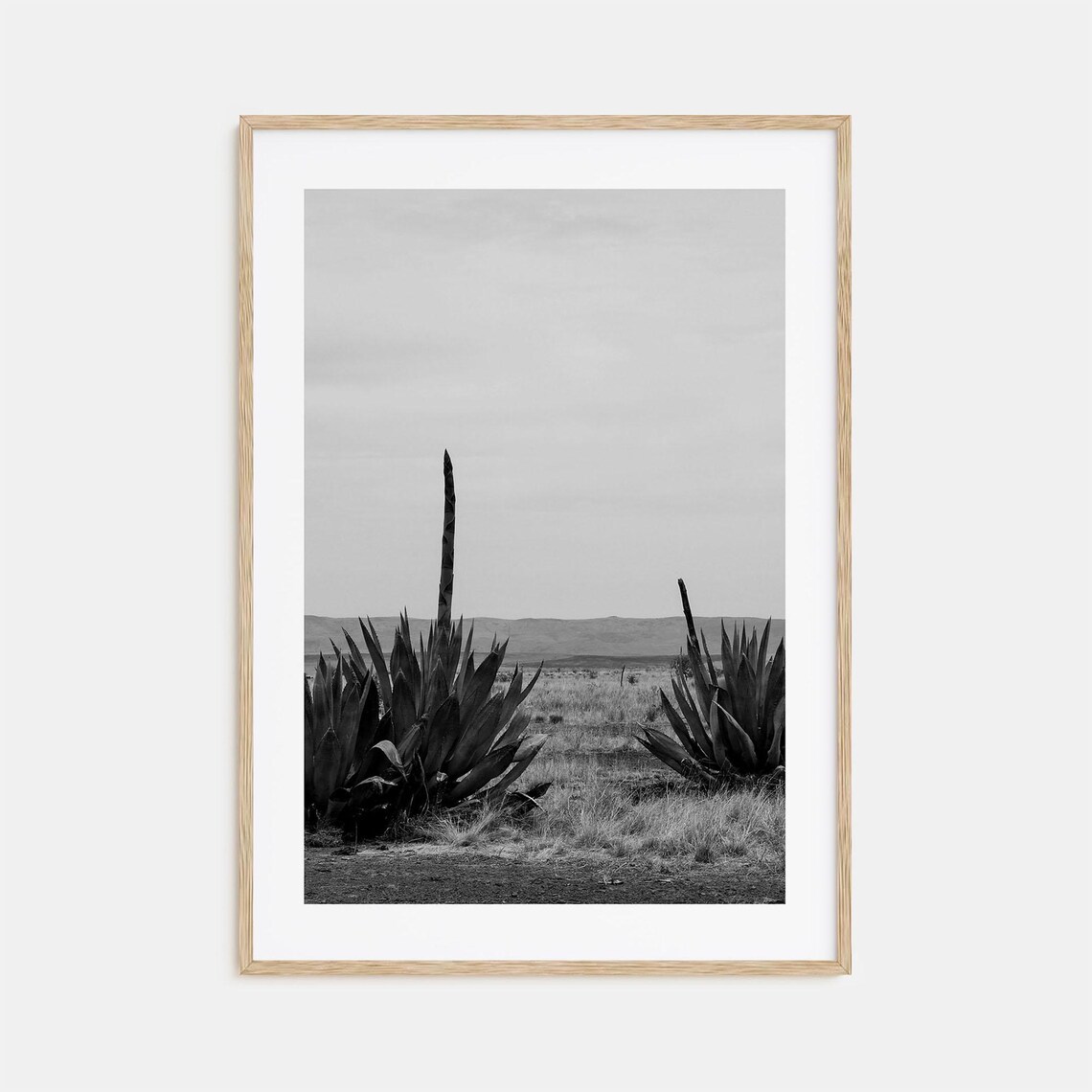 Texas Black And White Travel Poster, Wall Photography