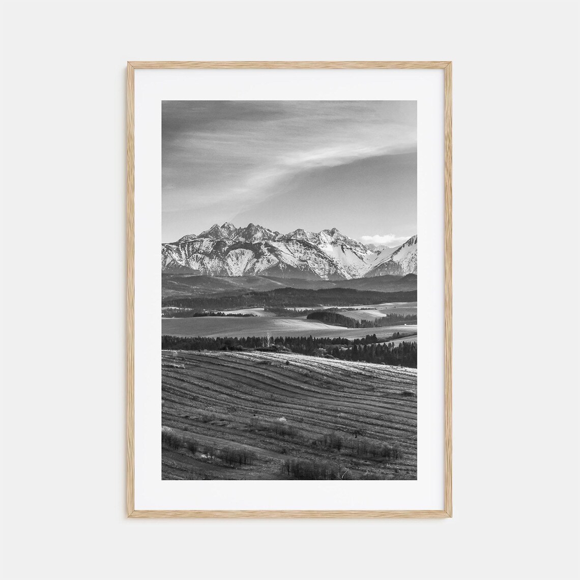 Slovakia High Tatras Snow Peaks Farmland Valley Black White Poster