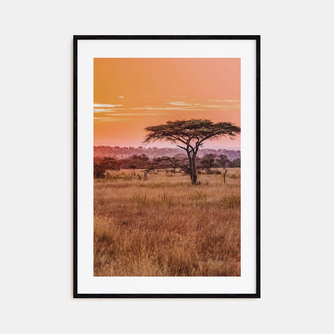 Tanzania Acacia Tree Sunset Golden Savanna Africa Landscape Poster