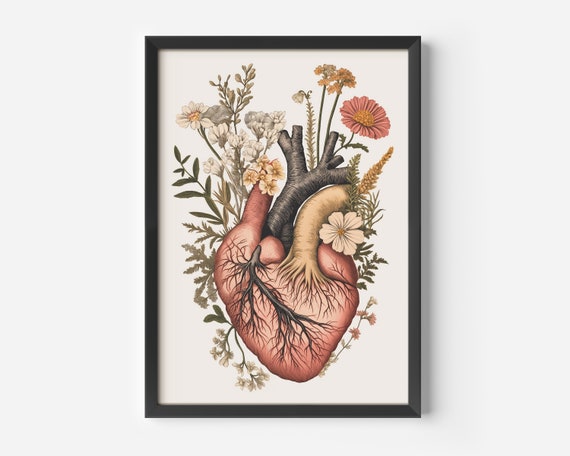 Vintage Heart Poster With Flowers Botanical Art Anatomy Wall Decor Anatomical In A Look Decoration
