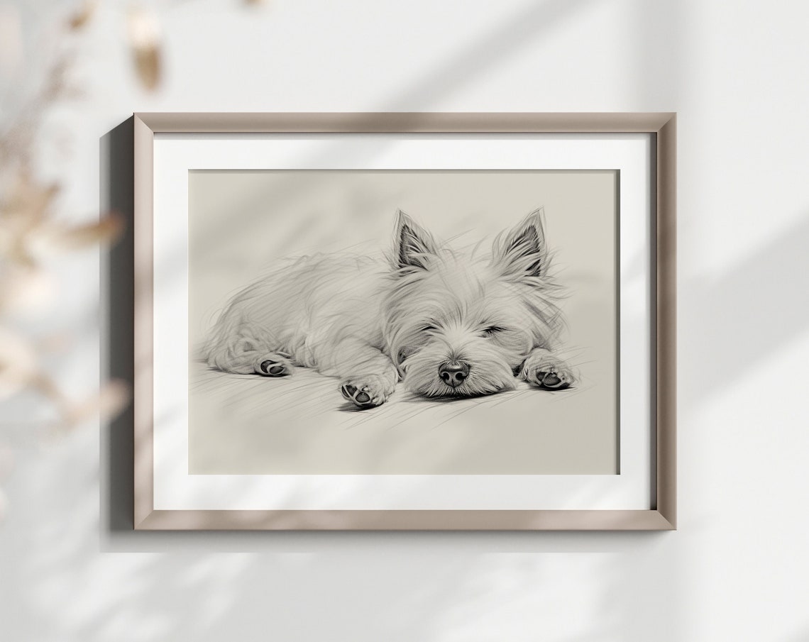 West Highland Terrier Sleeping Soft Pencil Sketch Minimalist Art Print
