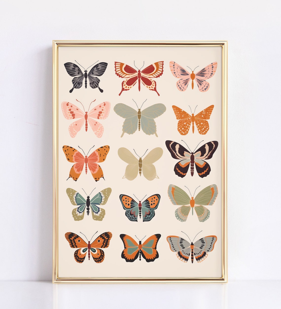 Butterfly Specimen Chart Colorful Insect Collection Grid Poster