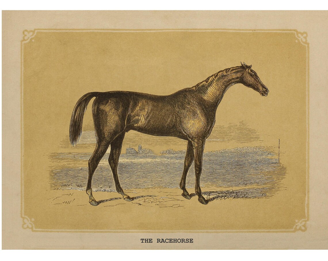 Racehorse Vintage Art Print