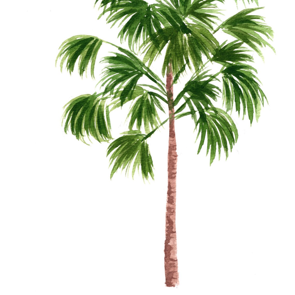 Windmill Palm Tree Watercolor Botanical Art Print - Image 3
