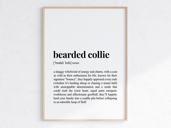 Bearded Collie Funny Definition Print Cheeky Gift For Dog Parent Lover Art Humorous Dictionary Poster