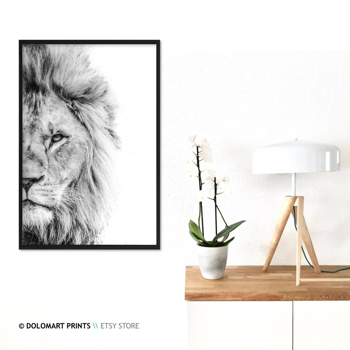 Lion Wilderness Photography Art Print, Animal Portrait - Image 3