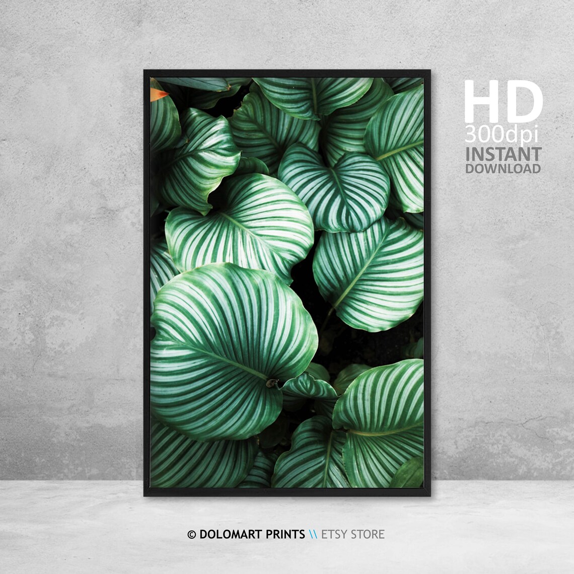 Monstera Tropical Plant Art Print, Botanical Decor - Image 4
