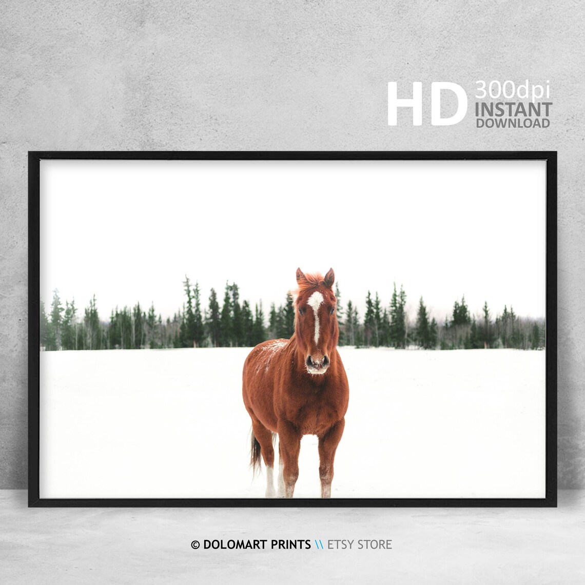 Horse Print, Scandinavian Equine Photography Art - Image 4