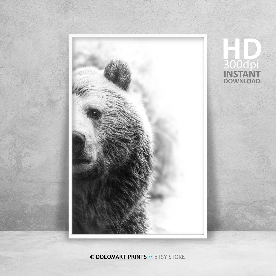 Bear Wilderness Photography Art Print, Grizzly Bear
