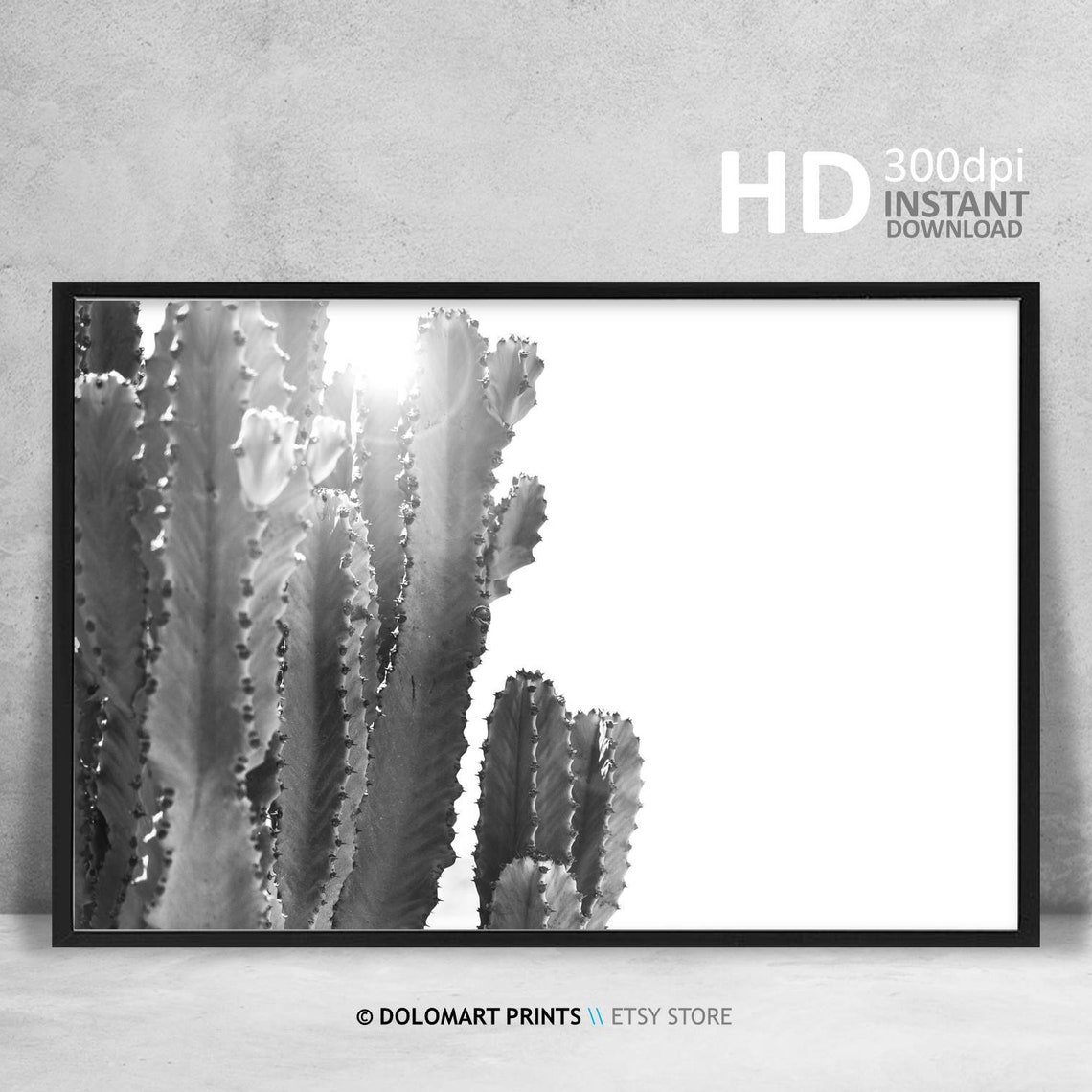 Black and White Cactus in Sunlight Desert Botanical Photography Poster - Image 4