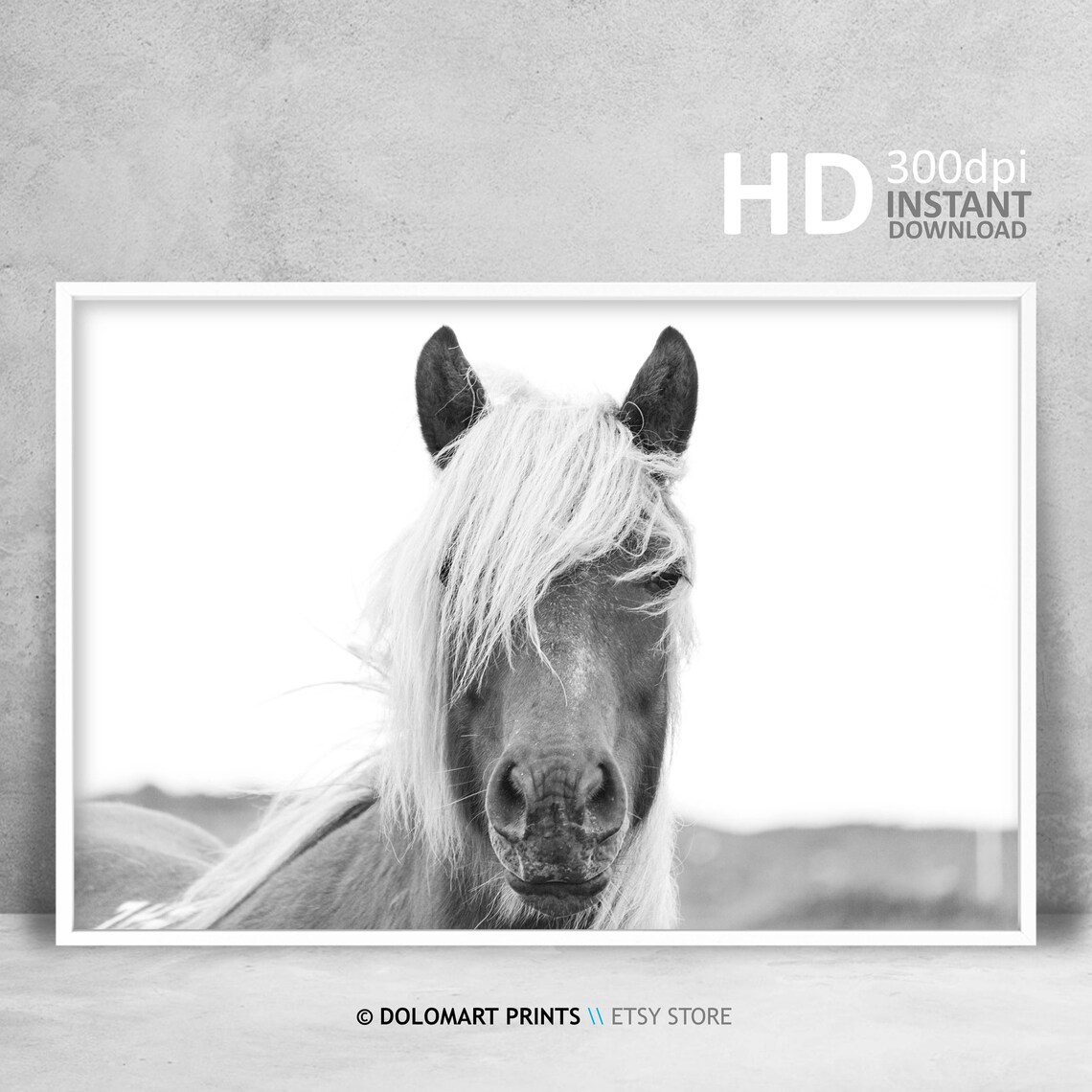 Horse Animal Photography Wall Art, Wilderness Photo