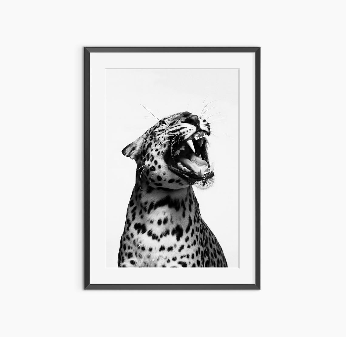 Dramatic Yawning Leopard in Black and White Wildlife Portrait Poster