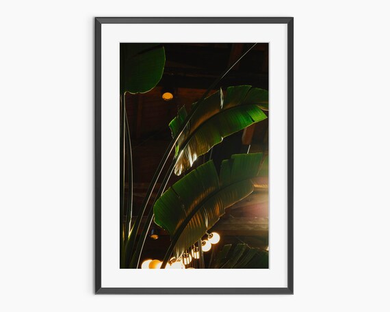 Tropical Banana Leaves at Night Warm Lights Botanical Photo Wall Art