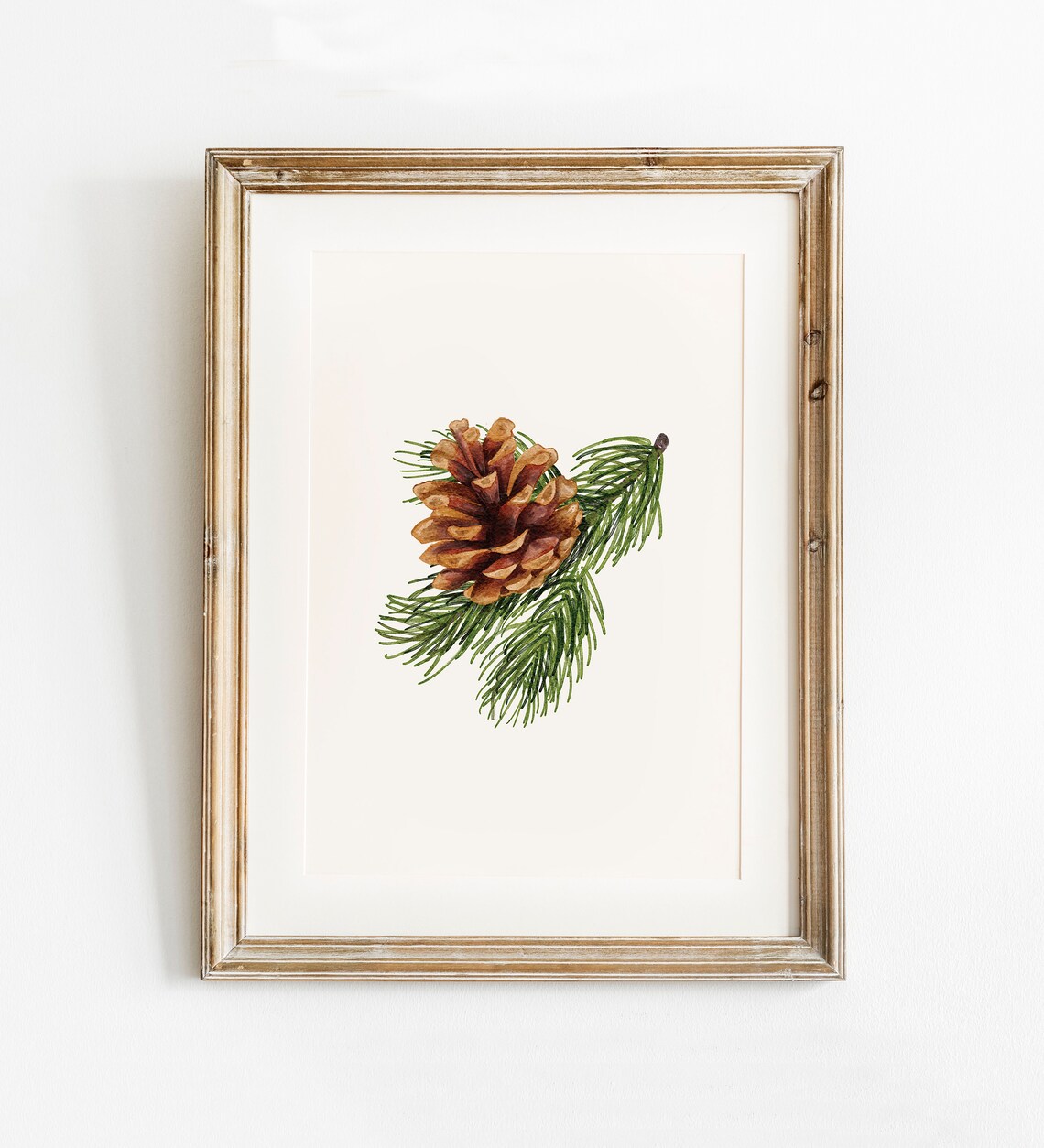 Evergreen Pine Tree Pinecone Art Print, Holiday