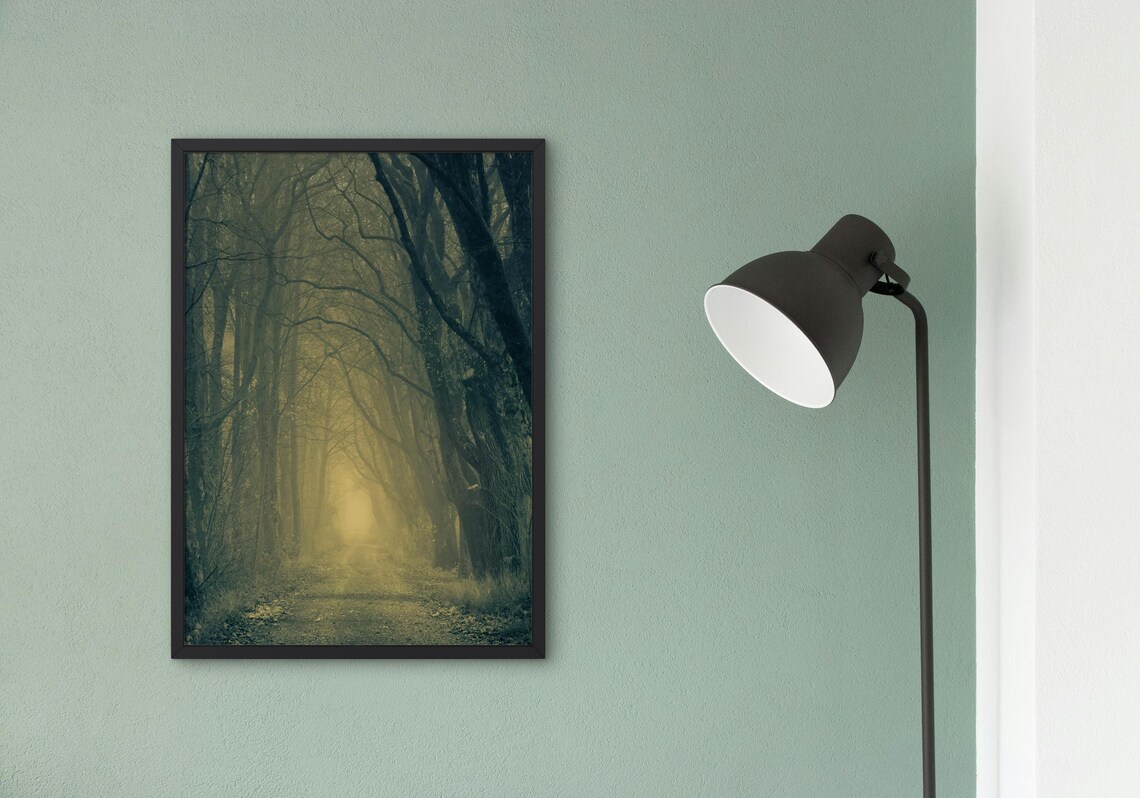 Enchanted Misty Forest, Mysterious Nature Pathway - Image 6