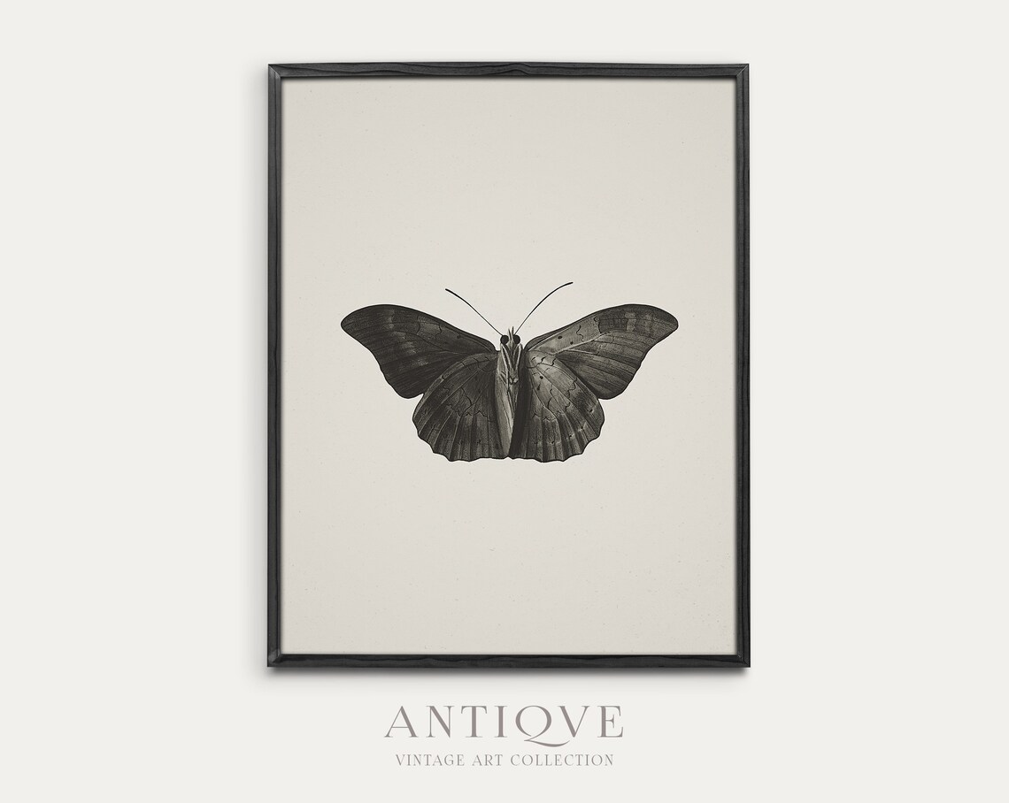 Moth Sketch Painting, Dark Academia Art Print