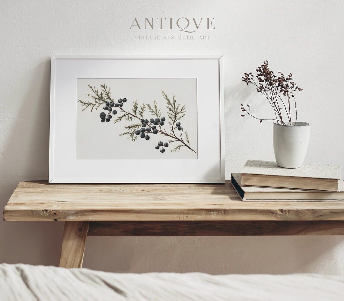 Juniper Berry Branch, Rustic Holiday Art Print - Image 4