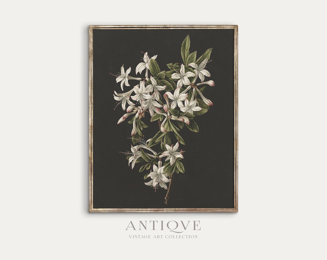 Dark Botanical Painting Flowers Art Print