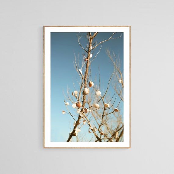 Seashells In The Sky, Nautical Ocean Art Print