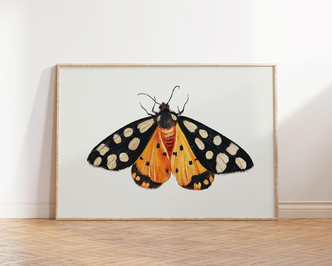 Vintage Butterfly Moth Landscape Art Print