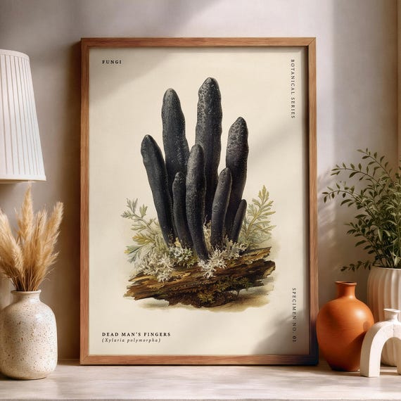 Dead Mans Fingers Xylaria Polymorpha Mushroom Poster Botanical Illustration Vintage Fungi Wall Art