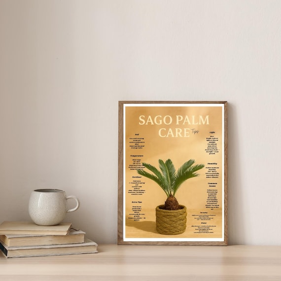 Sago Palm Care Tips Tan Botanical Houseplant Guide Wall Art Gift