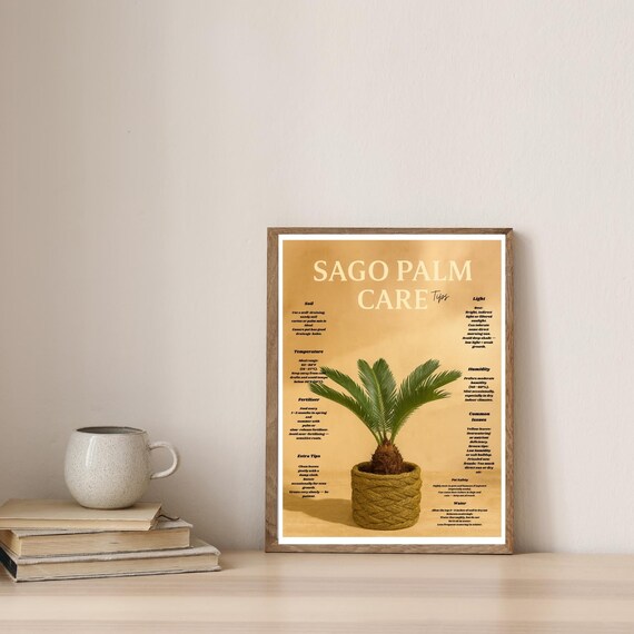 Sago Palm Care Tips Wall Art Cycas Revoluta Plant Guide Indoor Houseplant Botanical Toxic Warning