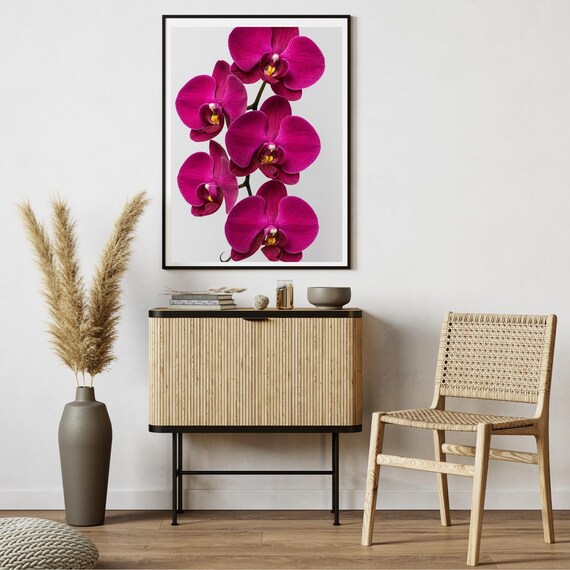 Magenta Phalaenopsis Orchid Photography Cascading Blooms Floral Poster