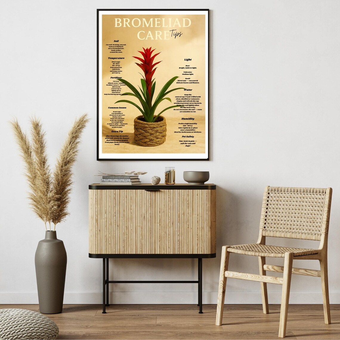 Bromeliad Care Tips, Tropical Houseplant Guide